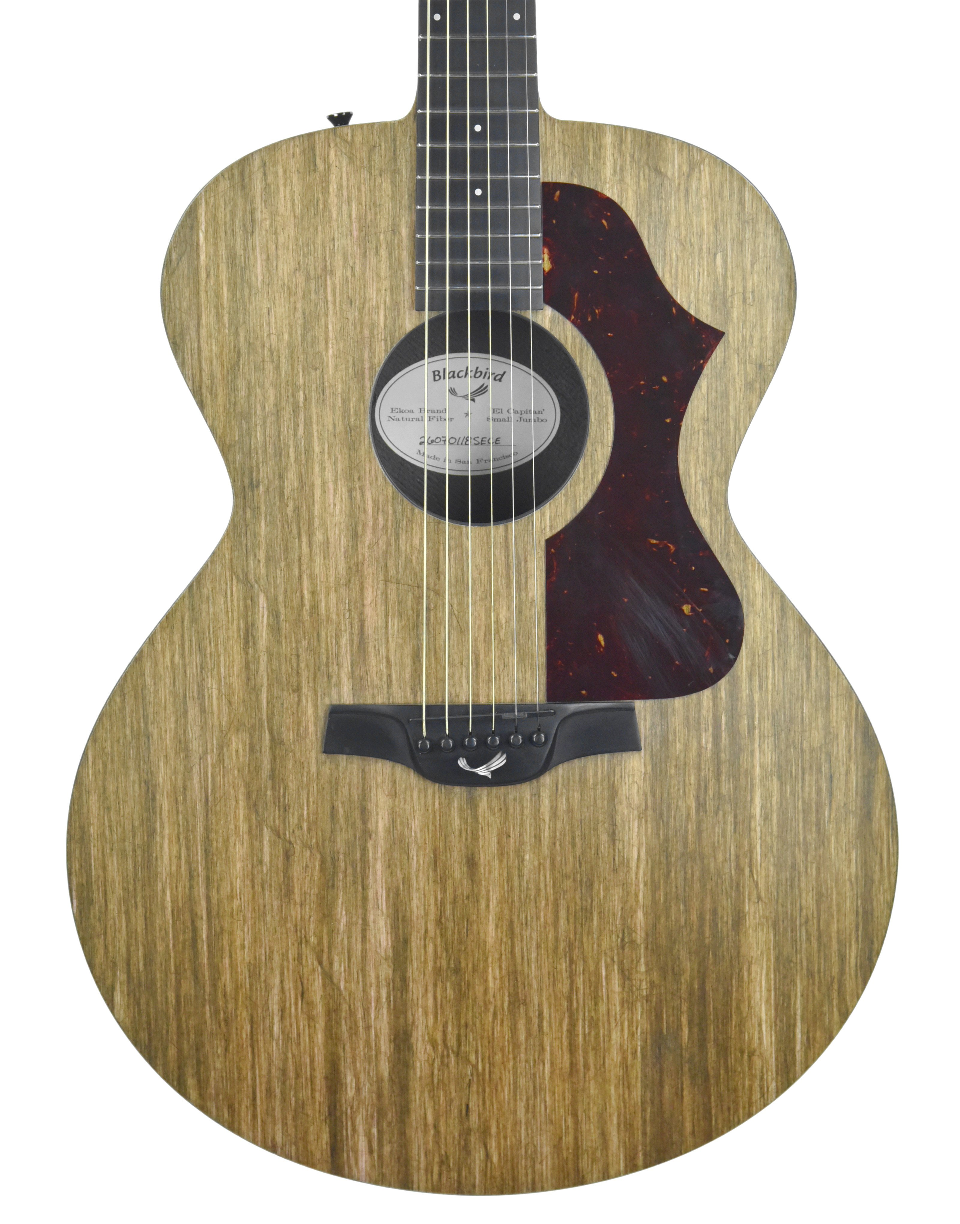 Blackbird el capitan guitar for sale by owner